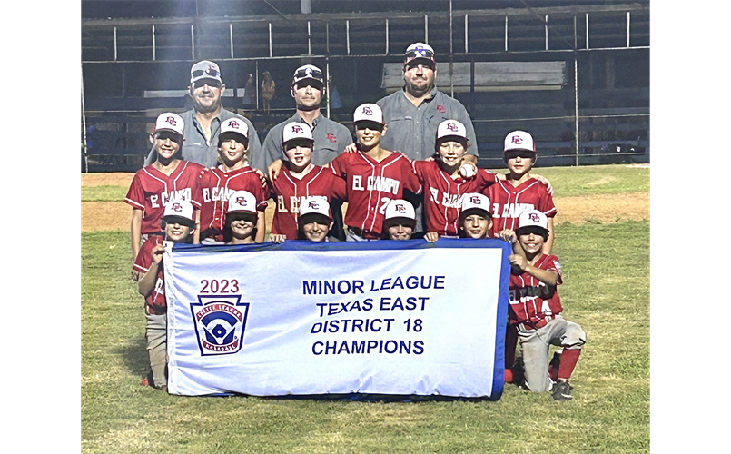 10U baseball district champs