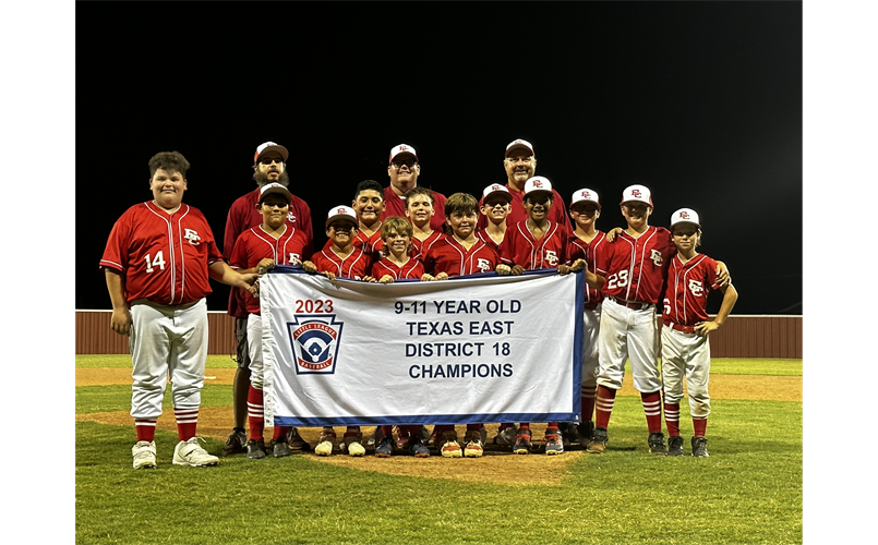 11U baseball district champions