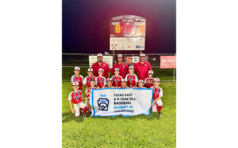 9u Baseball District Champs