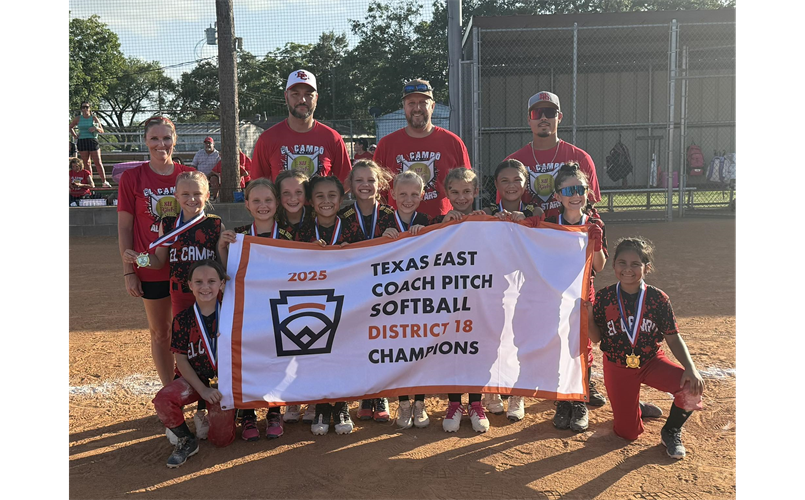 8u Softball District Champs